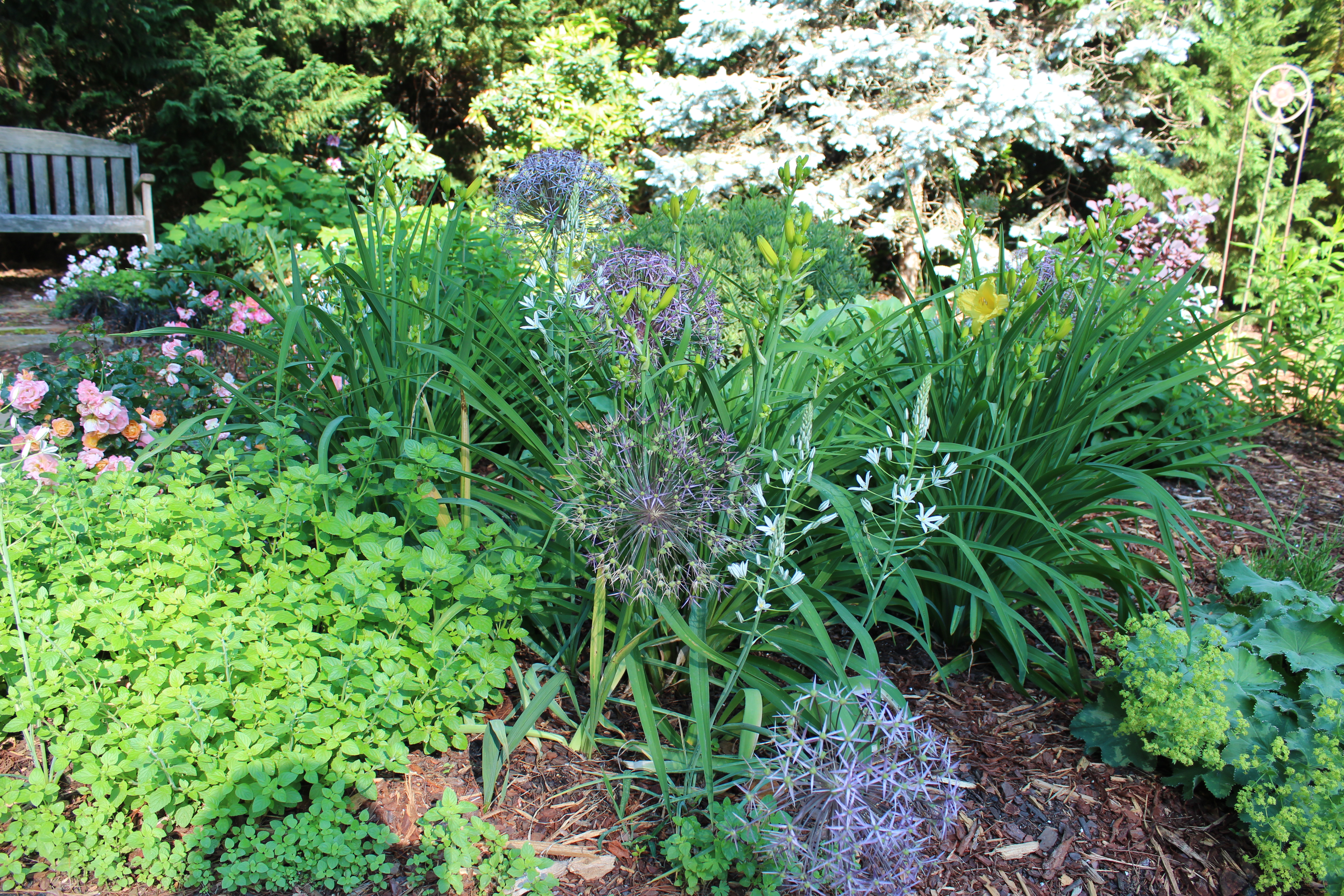 58CBABAA-05B5-4679-BE3A-27D0EF25767B